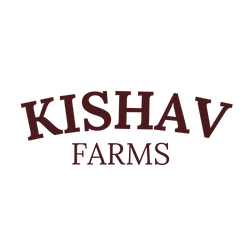 Buy Cow Ghee | Pure Cow Ghee | A2 Ghee | Kishav Farms